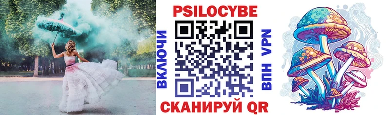 даркнет сайт  Болотное  Галлюциногенные грибы Magic Shrooms 